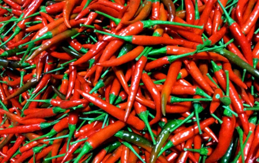 Five Vietnamese Businesses Get Permission to Export Chilies to China