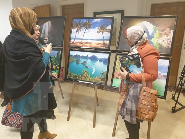 tourism programmes increased to meet vietnams travel demand of egyptian