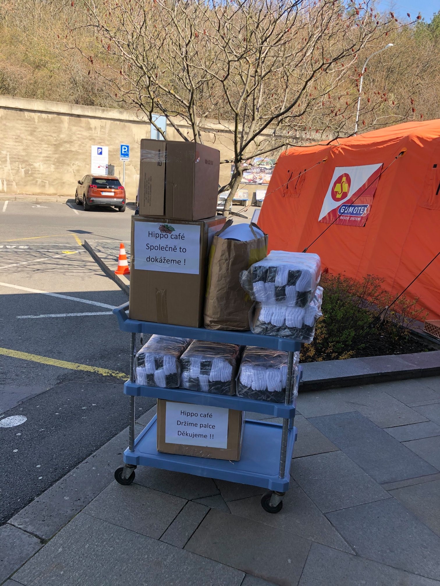 vietnamese continues donating medical items to czech hospitals