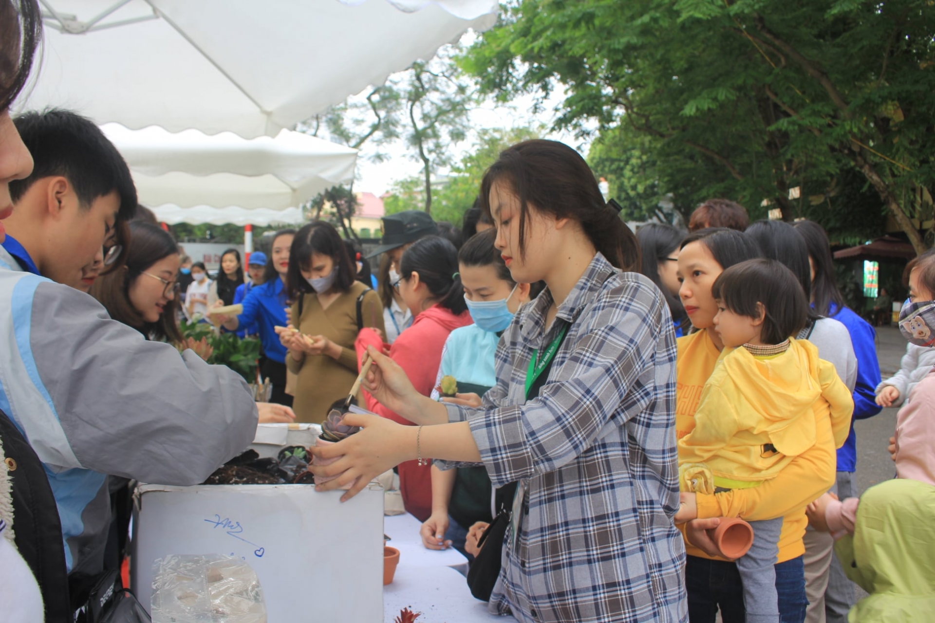 Israeli Embassy gifts solar-powered drip irrigation system to Hanoi