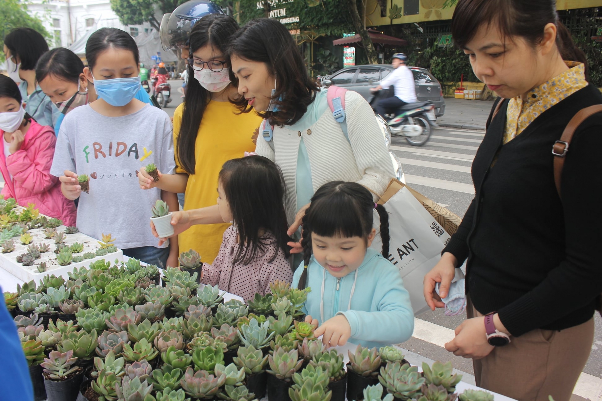 Israeli Embassy gifts solar-powered drip irrigation system to Hanoi