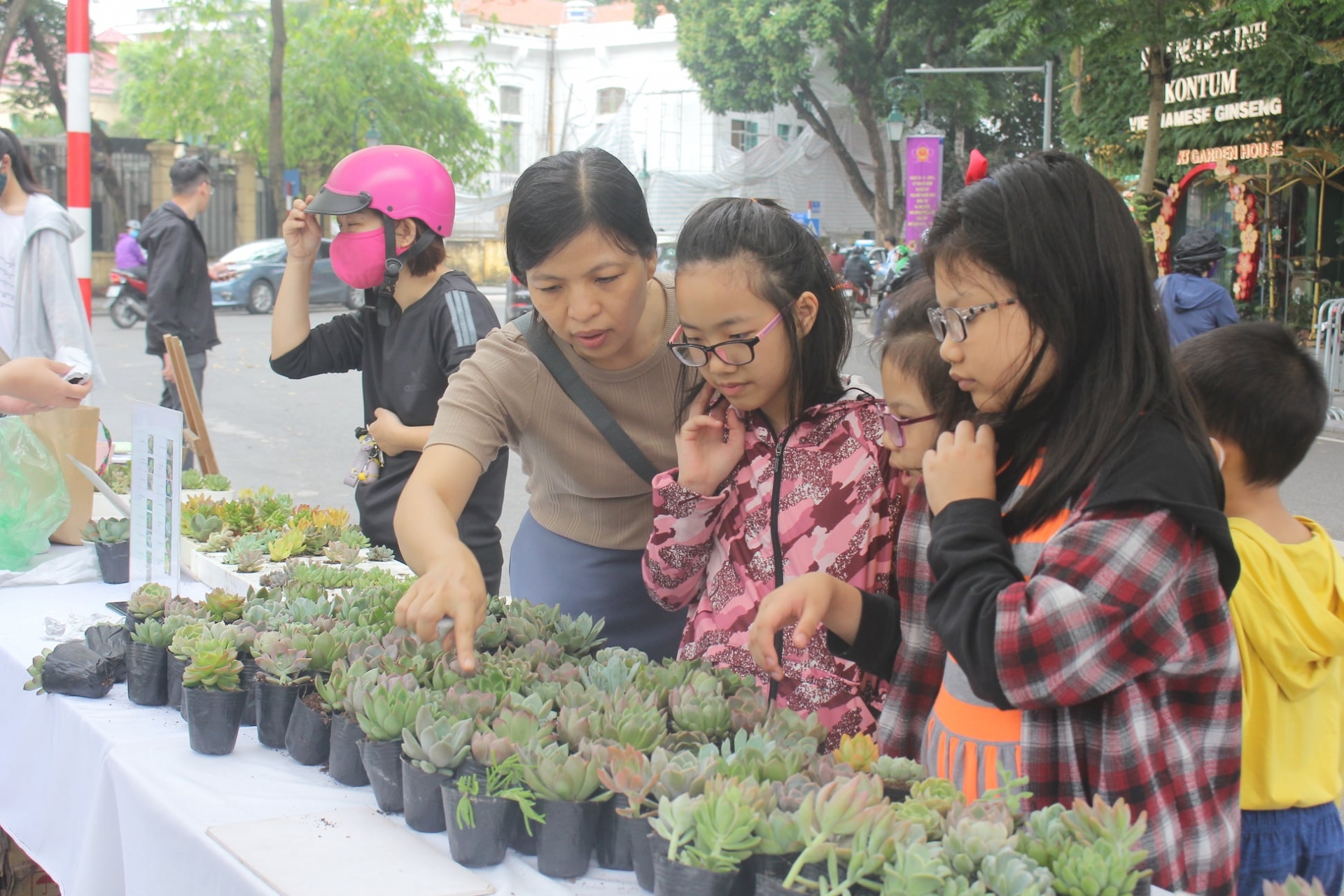 Israeli Embassy gifts solar-powered drip irrigation system to Hanoi