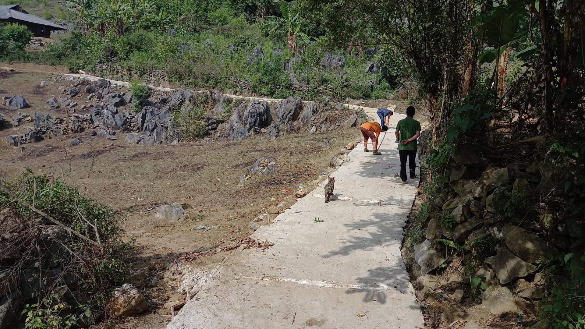 World Vision builds cement road to for remote village of Dien Bien