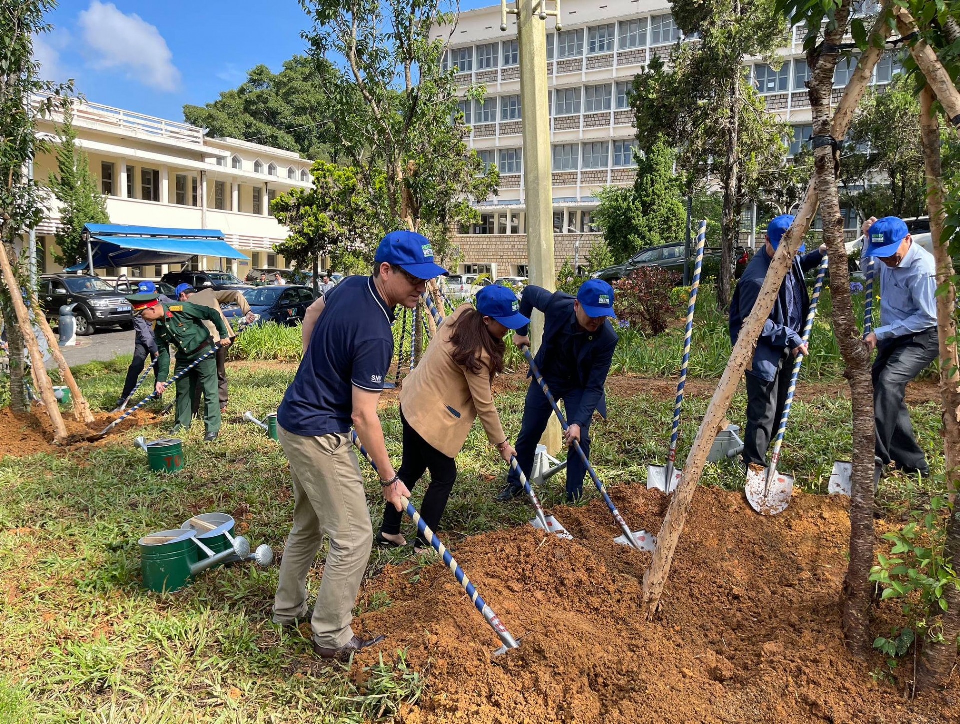 SNV contributes 3,000 cherry blossom trees for a green Vietnam