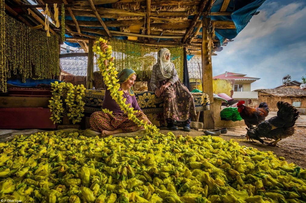 Two Vietnamese photos among Pink Lady Food Photographer of the Year winners