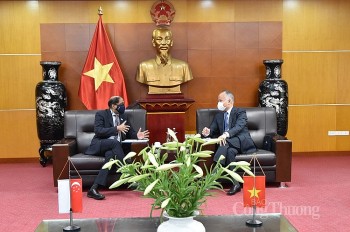 Vietnam, Singapore Work to Promote Intra-Regional Trade