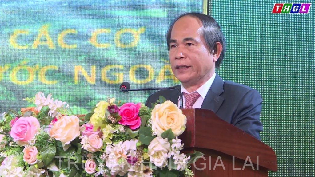 Gia Lai Seeks Ways to Promote Ties with Foreign Partners