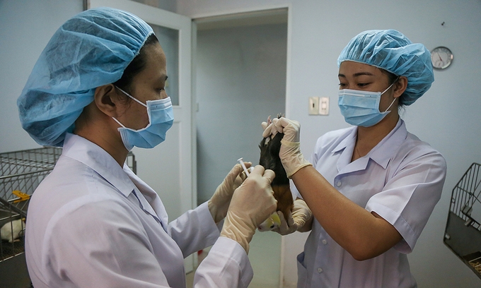 covid 19 vaccine vietnam waiting results from animal tests as one more case recorded