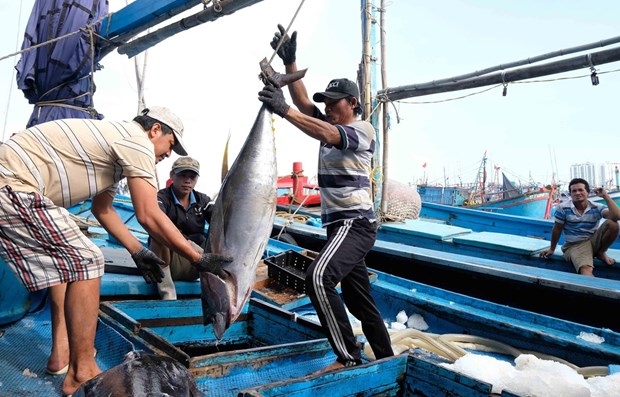 mard chinas fishing ban in east sea carries no weight whatsoever