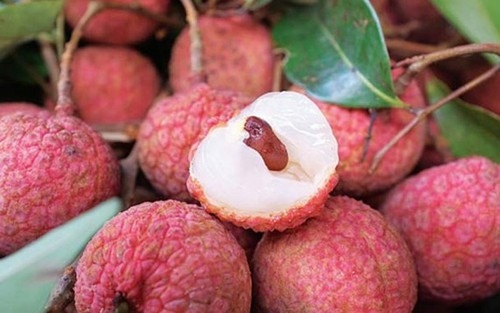 vietnams lychees export to singapore us australia
