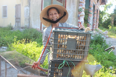 5,000 baby chicks help generate sustainable income for the poor in Hue