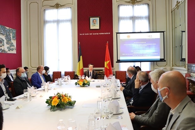 Experts: Belgium’s exports to Vietnam still growing