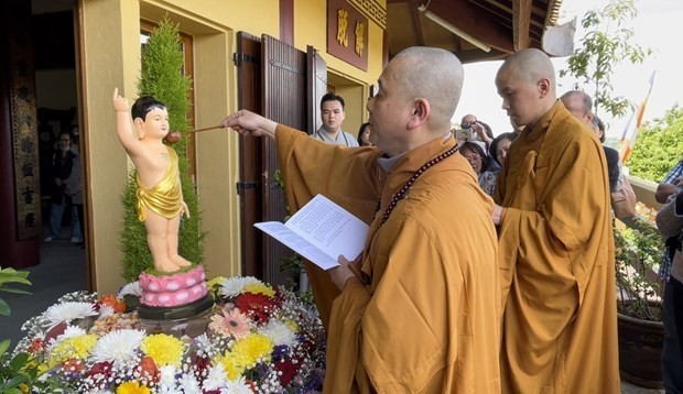 vietnamese abroad celebrate the buddhas 2566th birthday