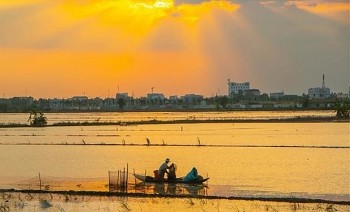 MARD, GIZ Join Hands for Innovations in Agriculture of Vietnam's Mekong Delta
