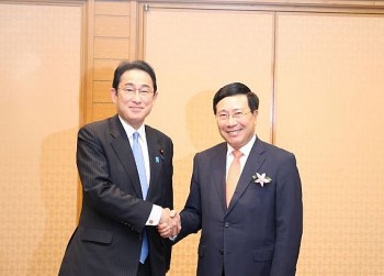 Vietnam, Japan Promoting Strong and Substantive Development of Relations