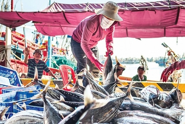 govt rolls out plan to implement fao agreement on deterring iuu fishing