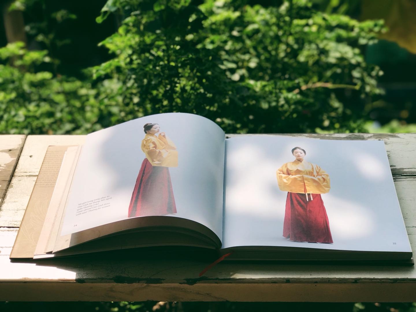 weaving a realm bilingual book introduces vietnams costumes from the 15th century