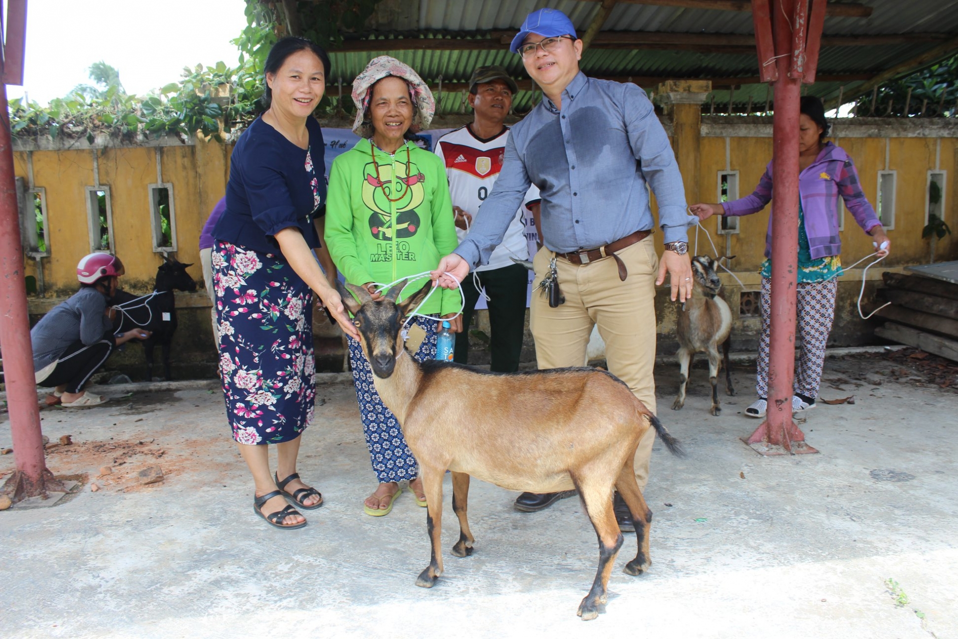 agent orange families increase income with goats raising