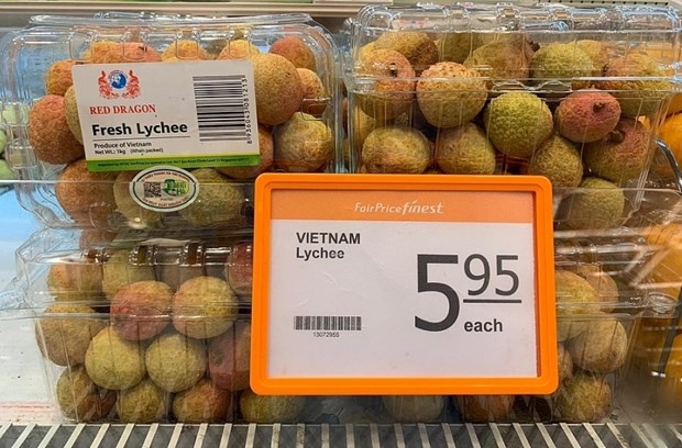 Lychee heads to EU market, paving ways for Vietnamese agricultural products