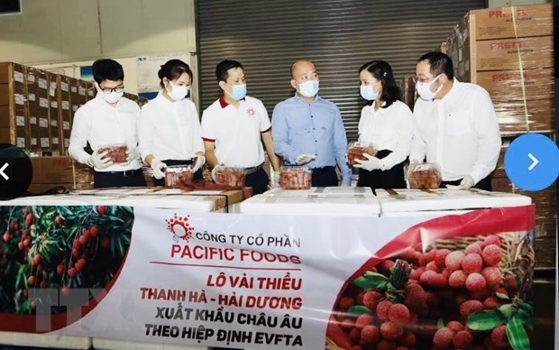 Lychee heads to EU market, paving ways for Vietnamese agricultural products