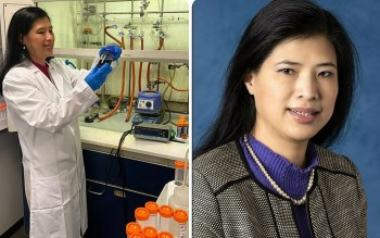 Vietnamese Professor wins Chemical Award from UK Royal Society