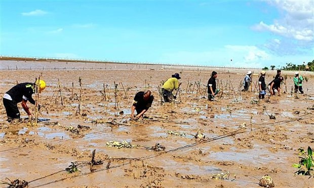 International Organizations Support Vietnam Strengthen Climate Resilience