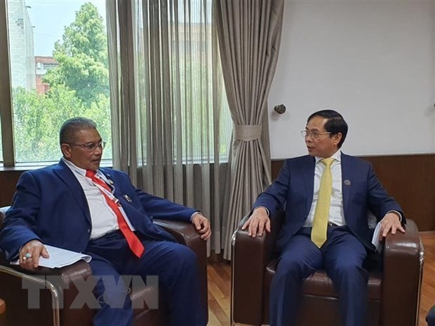 SAIFMM: Vietnamese FM Meets Indonesian, Bruneian Counterparts