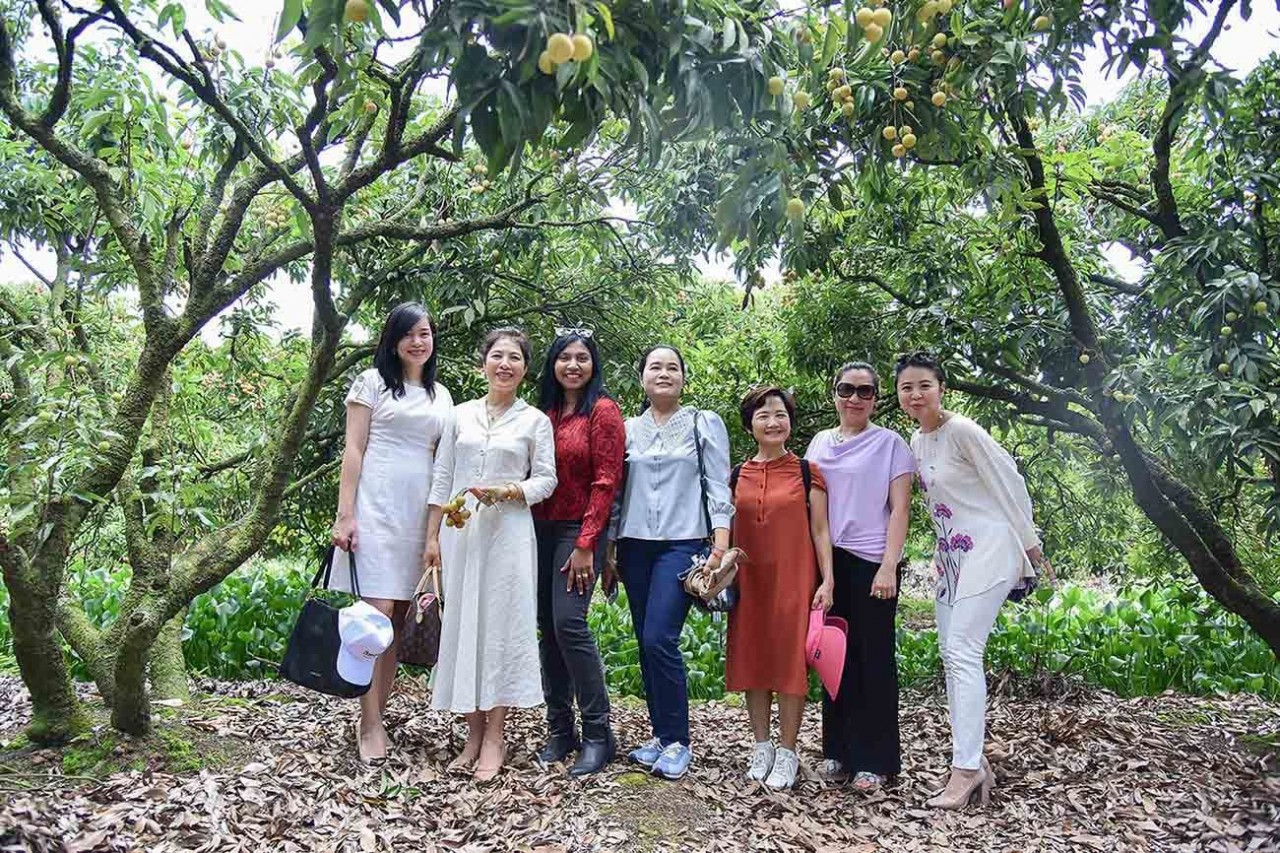 Ambassadors, Diplomatic Spouses Participate in Visit to Hai Duong Province