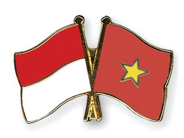 search for the best logo marking vietnam indonesia 65 year diplomatic ties