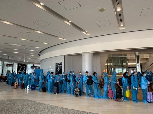 over 200 repatriated vietnamese from japan undergo quarantine in facilities