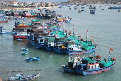 us helps vn strengthen fisheries sustainability and combat iuu fishing