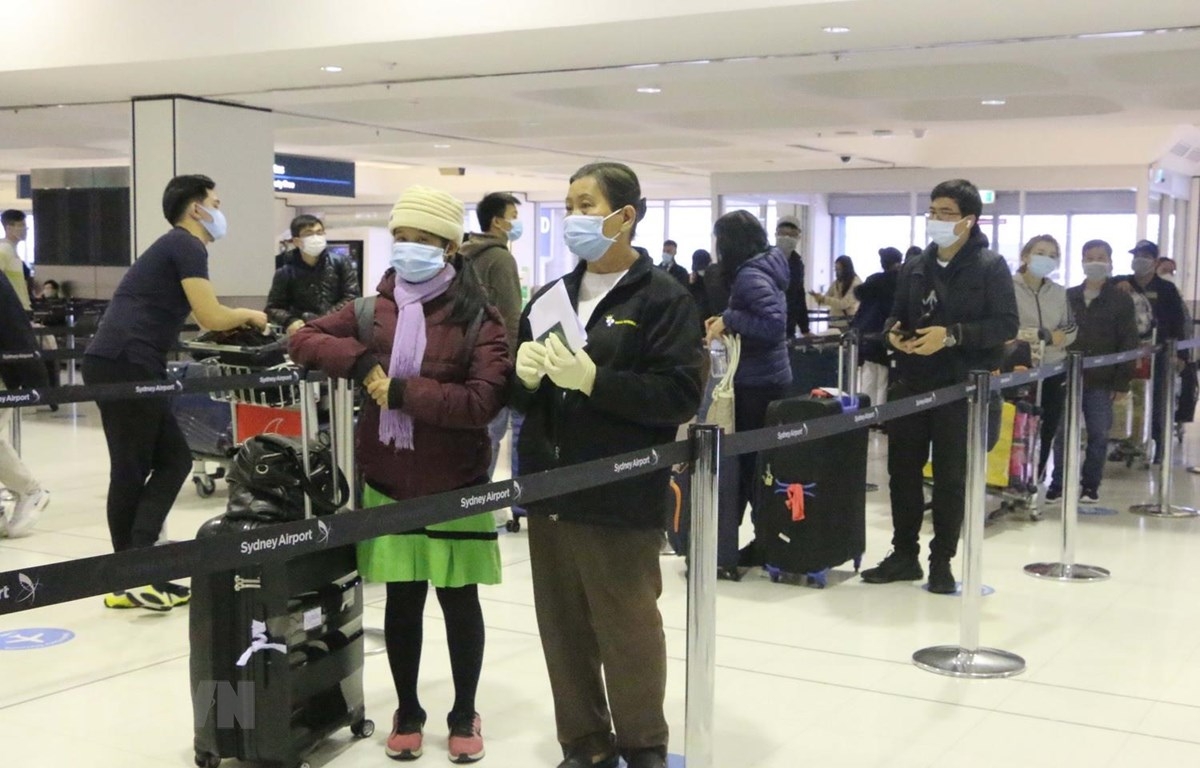 340vcitizens return safely from australia as domestic cases pass 800 mark