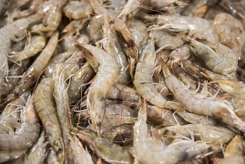 china alarmed as coronavirus found on frozen seafood packaging