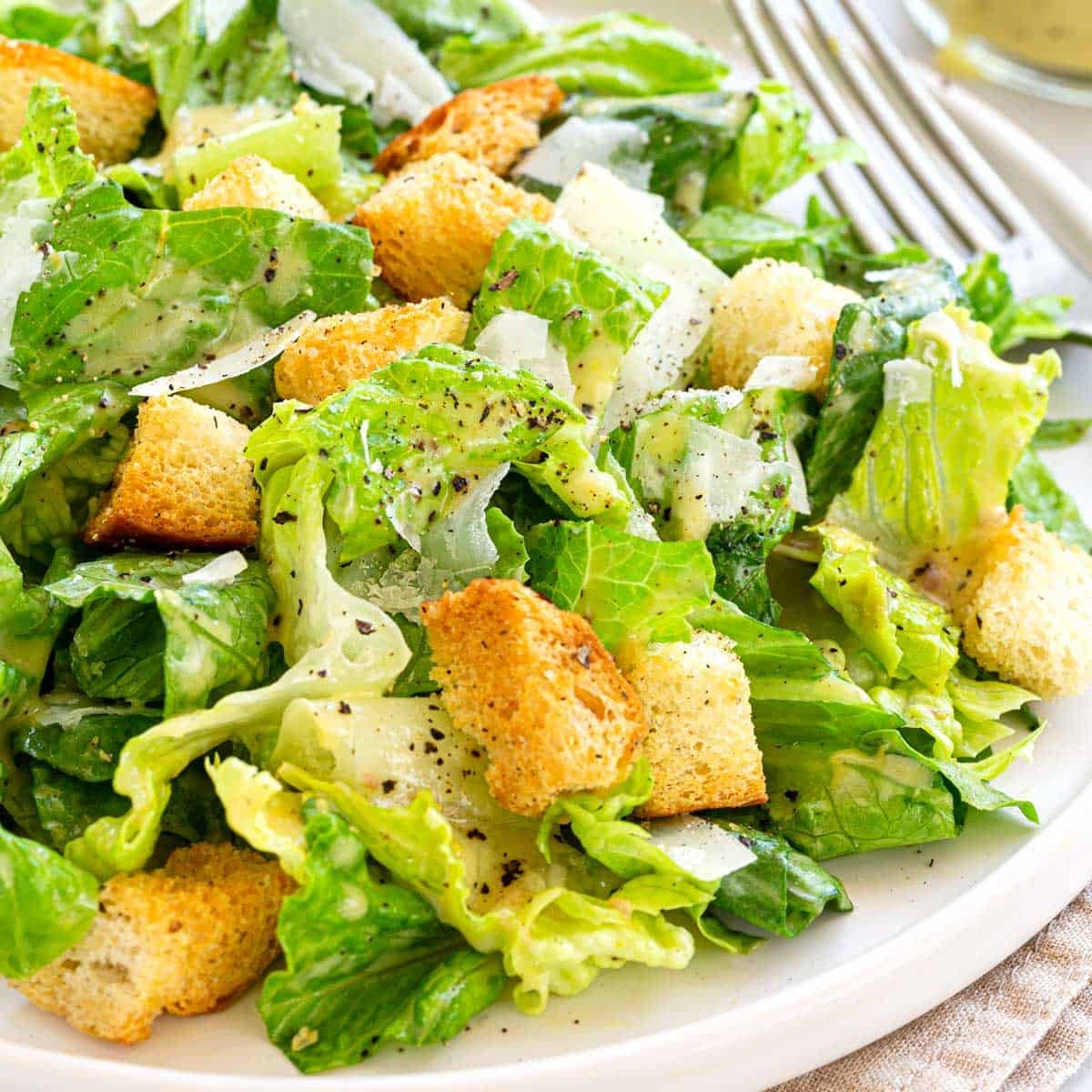 Discover the 10 Most Popular Salads in the World