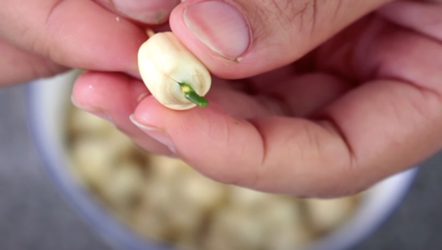 Vietnamese Home Cooking Recipe: Lotus Seed Sweet Soup with Dried Longan