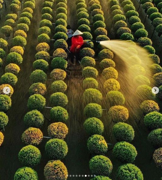 10 Photos Depicting Vietnamese Culture Win Praise on Instagram