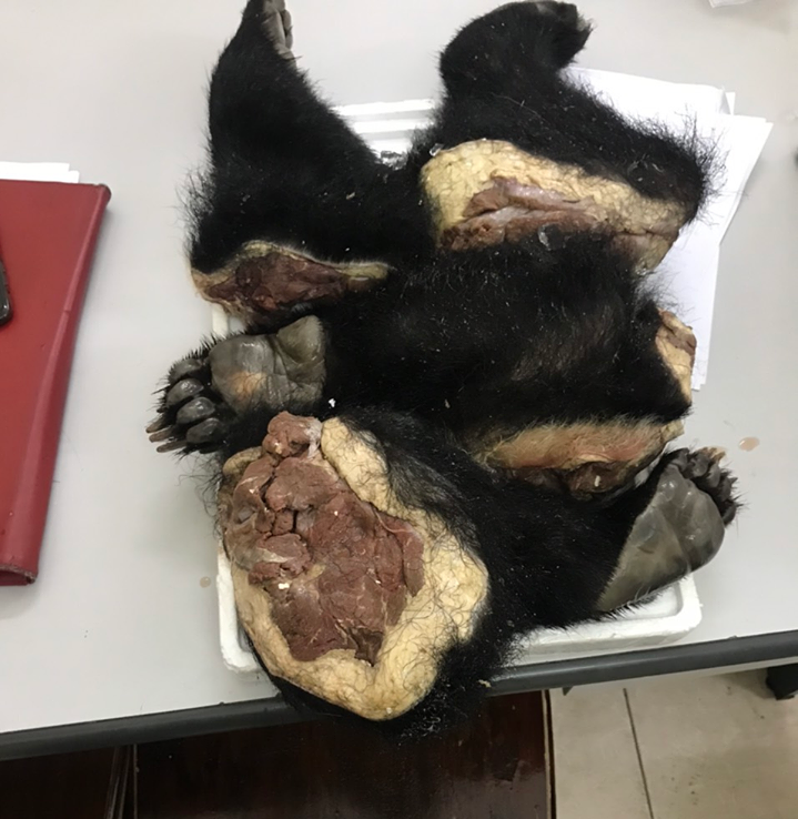 Vietnam Wildlife Trafficking Arrests Rise