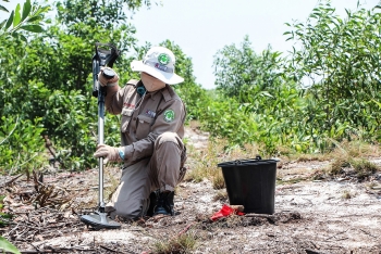 npa returning to landmines clearance in quang tri amid fall in new covid 19 cases