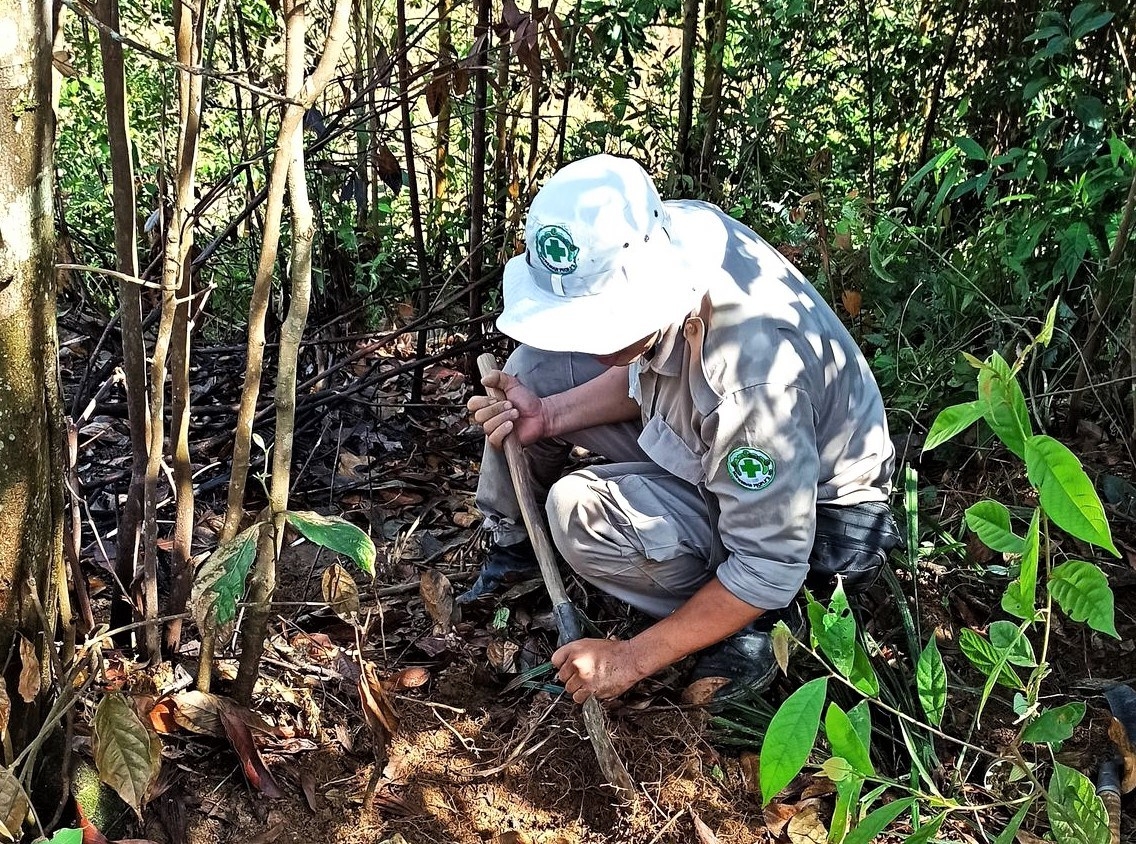 100 cluster munitions found in thua thien hue