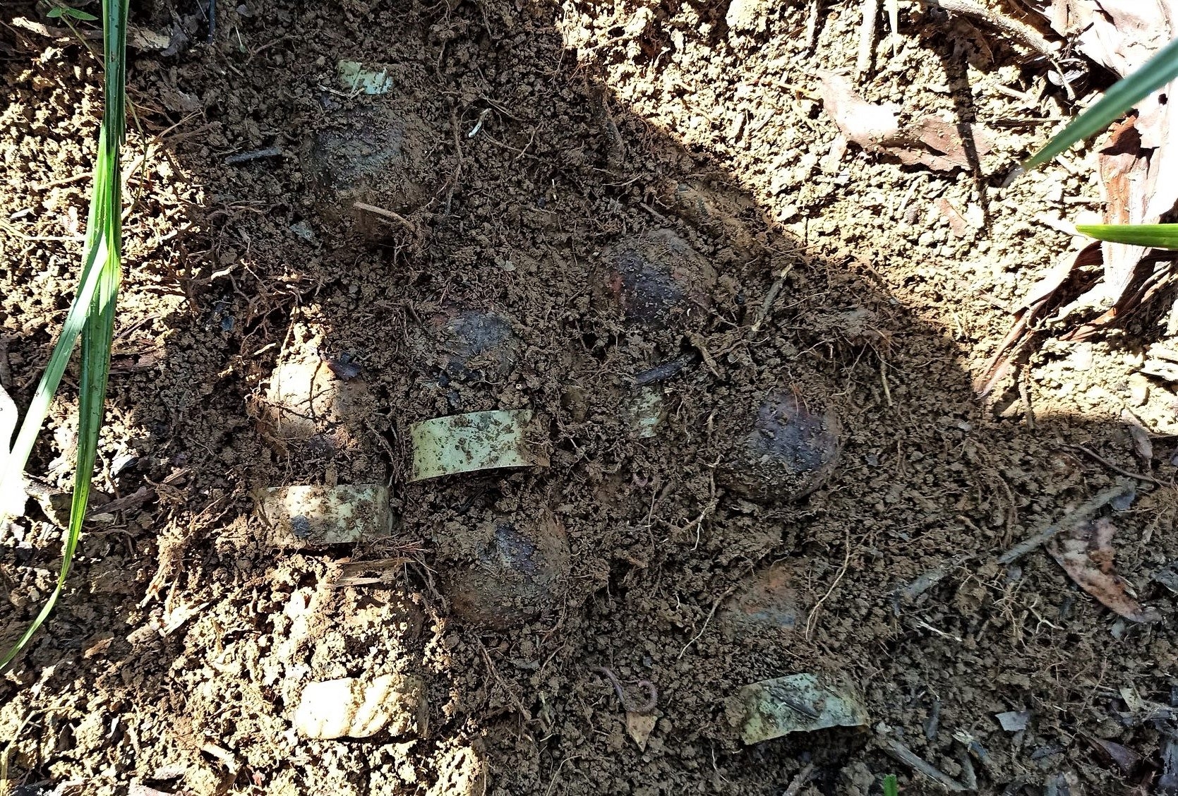 Nearly 100 cluster munitions found in Thua Thien Hue
