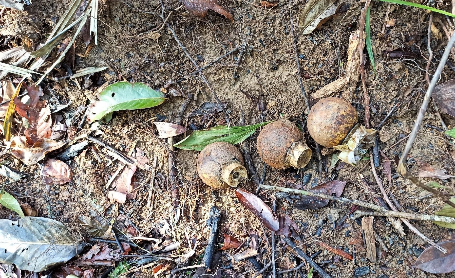 Nearly 100 cluster munitions found in Thua Thien Hue