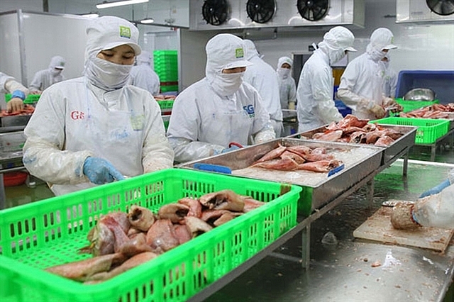 EVFTA: First batch of shrimp from Vietnam  on its way to EU