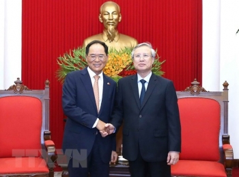 vietnam rok foster bilateral relations in new situation