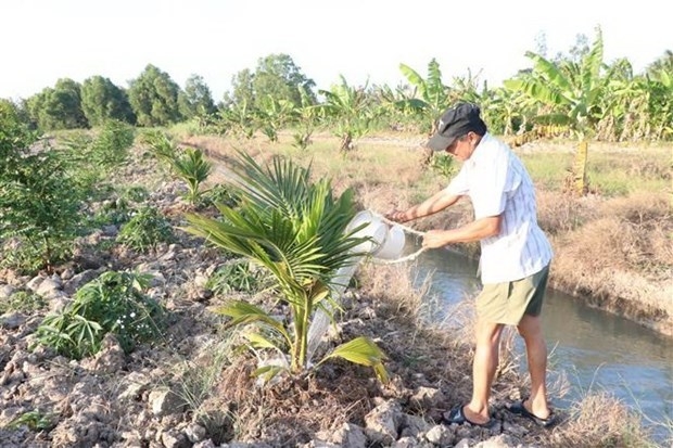 India funds seven water management projects in four Vietnam's Mekong Delta provinces