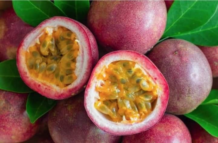 Boosting resilience to climate risks through improved farmer practice in passion fruit farming