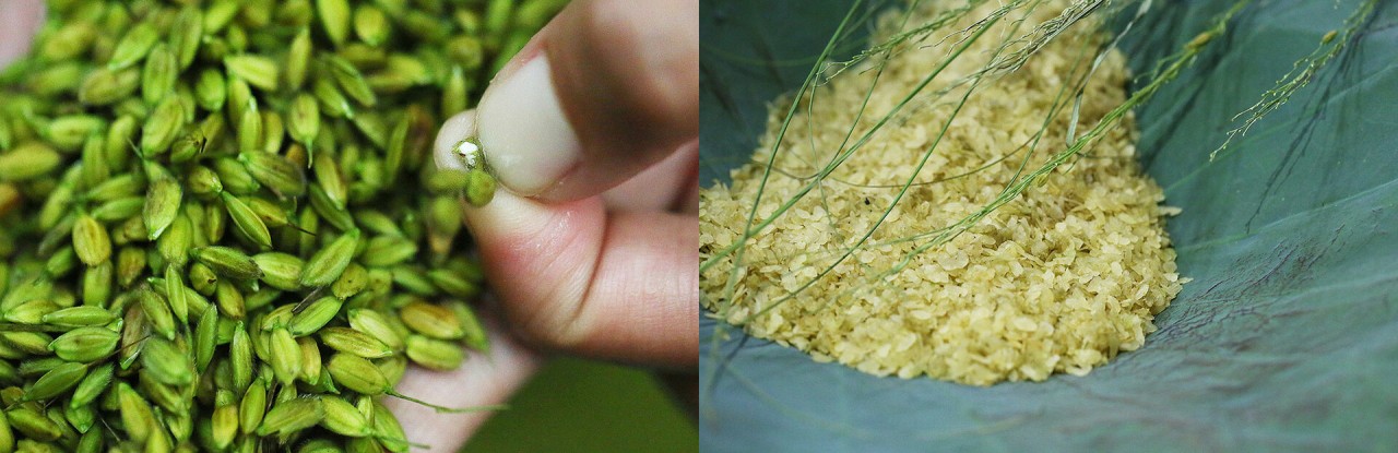 Discovering Me Tri’s Young Green Rice Making Craft - An National Intangible Cultural Heritages