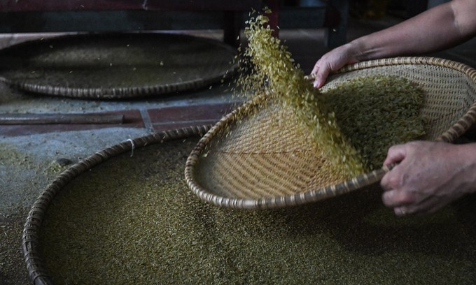 Discovering Me Tri’s Young Green Rice Making Craft - An National Intangible Cultural Heritages