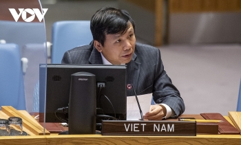 vietnam reaffirms support for malis sovereignty and territorial integrity