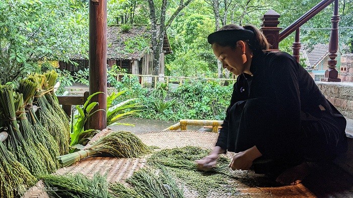 Flavor of Cao Bang green rice