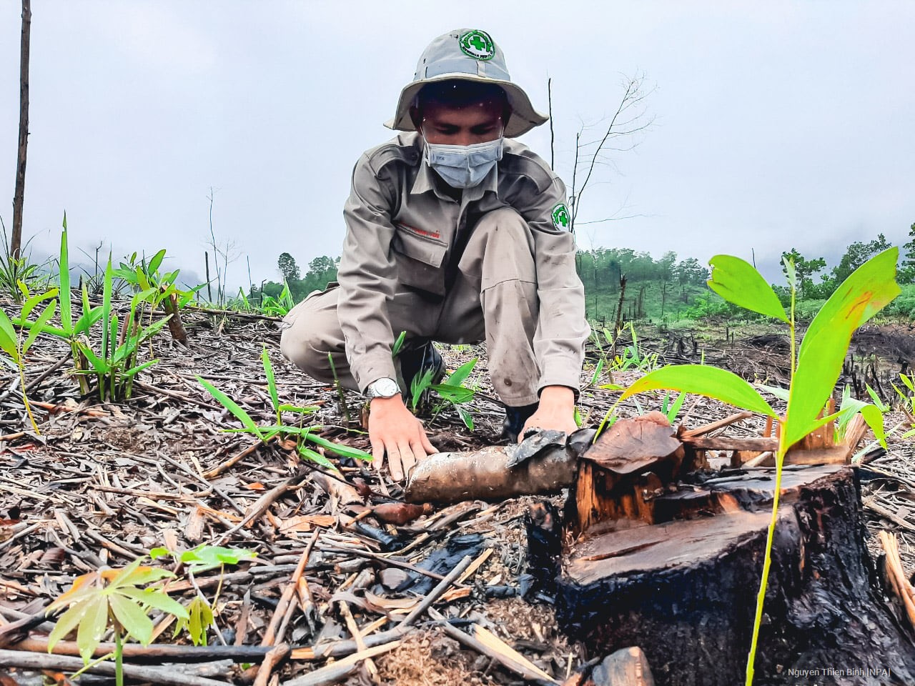 Internatinal Organizations Help Vietnam's Provinces Clear War-left Legacies